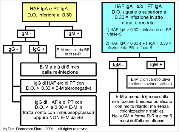 schema diagnostico